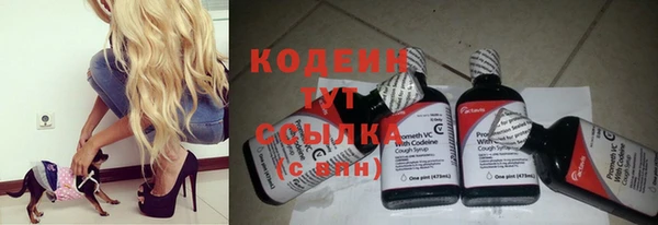 шишки Абинск