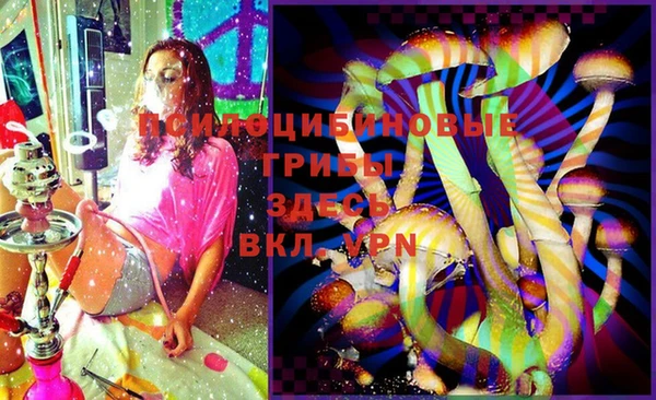 мяу мяу мука Алексеевка
