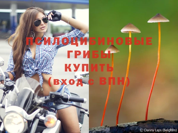 марки lsd Алзамай