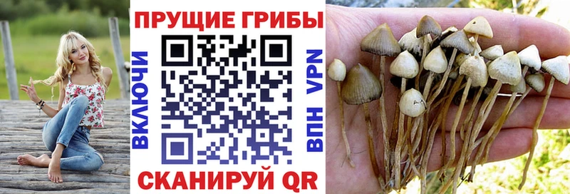 Галлюциногенные грибы Magic Shrooms  наркотики  darknet состав  Якутск 